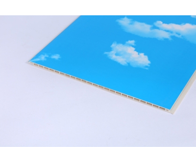 竹木纖維墻板細節展示